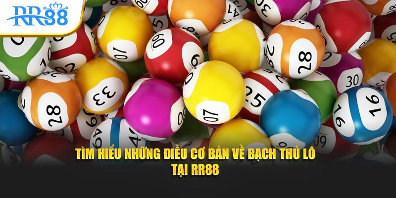 Bạch thủ lô là gì: khái niệm cơ bản về chọn một con số mỗi kỳ quay