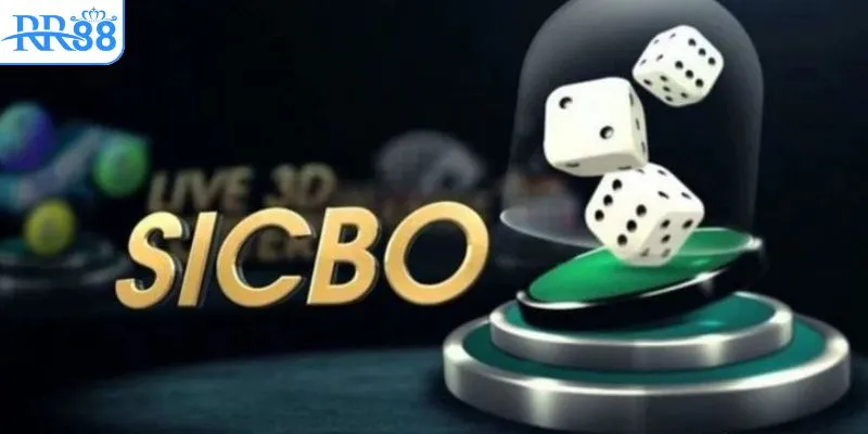 Chơi sicbo online với ba viên xúc xắc trên bàn cược tại RR88