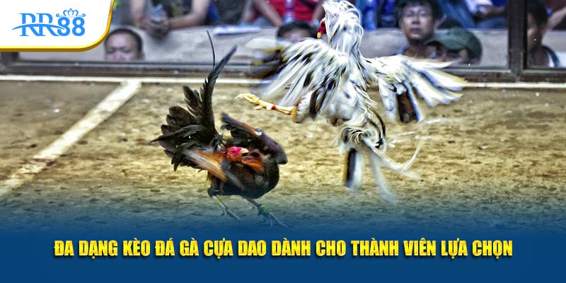 Các cửa cược Meron, Wala và hòa trong đá gà cựa dao
