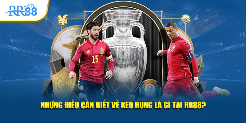 Kèo rung là gì: bảng tỷ lệ tài xỉu bóng đá tại RR88