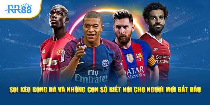 Soi kèo bóng đá cho người mới bắt đầu với bảng tỷ lệ và số liệu trận đấu